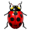 File:Bugweeks ladybug.png
